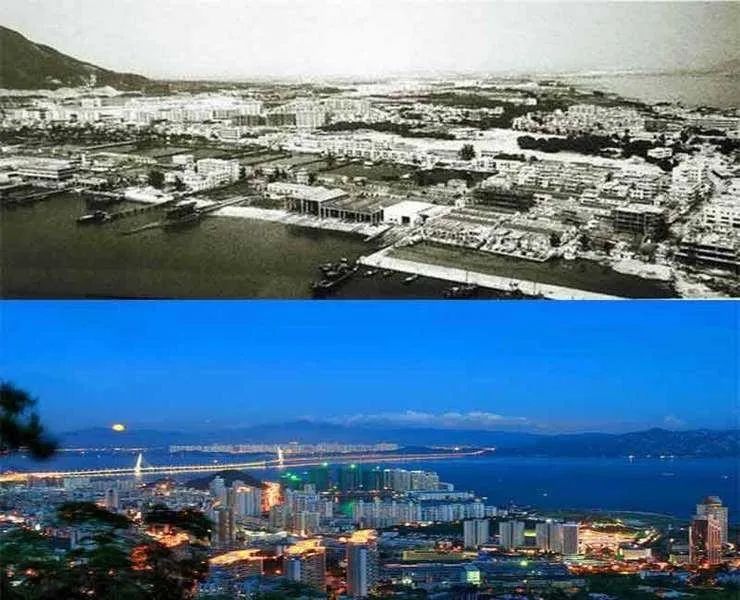 别鼓捣炒房暴富了，今年“活下去”最重要