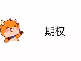 【牛牛课堂】不懂期权?带你一文读懂什么是股票期权