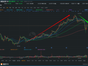 美团财报:远超预期的2019与充满挑战的2020