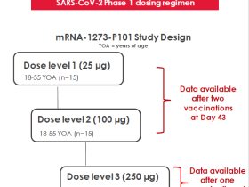 最新研发动态解读:Moderna新冠疫苗成功激发人体免疫应答