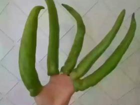 如松:辣手摧花,看中产阶级怎样被消灭!