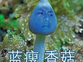 如松:第一个换币的国家诞生了