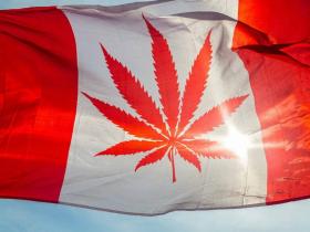 加拿大医用大麻生命科学EFT产品:Horizons Medical Marijuana Life Sciences ETF