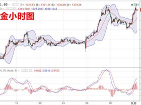 刘智辛:9.1早评,最终审判非农将至,黄金原油行情分析及解套
