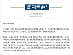 时寒冰:猥亵幼女的王振华案恶在何处