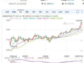 凭栏:黄金新高、美指新低——中美股市泡沫一戳就破