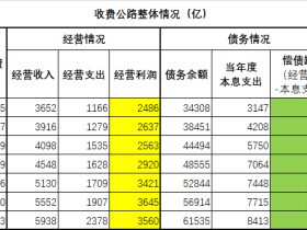 老蛮:修不起的金光大道