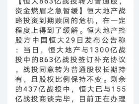 凭栏:“房产灰犀牛”与“大而不能倒”