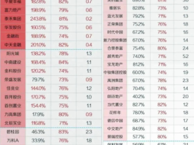 房地产欠下那么多债,钱都去哪儿了?