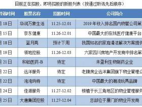 尊嘉:年底再迎港股IPO发行潮 没有策略可能错失“几个亿”