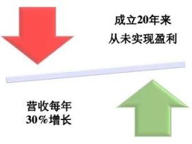 美投君：Palantir(PLTR)到底是一家怎样的公司？华尔街为何对其两极分化