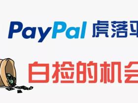 美投君：PayPal虎落平阳 白捡机会？