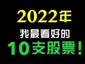 美投君:2022年我最看好的10支美股(上)