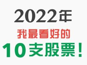 美投君:2022年我最看好的10支股票(下)