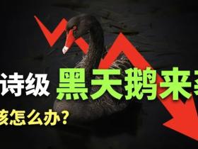 美投君:史诗级黑天鹅来袭!你该怎么办?