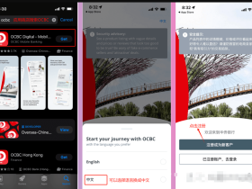 新加坡华侨银行(OCBC)在线申请、开户、入金激活及使用指南