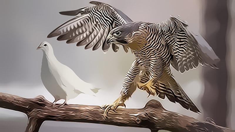 时寒冰:警惕耶伦的另一把屠刀!-图片2