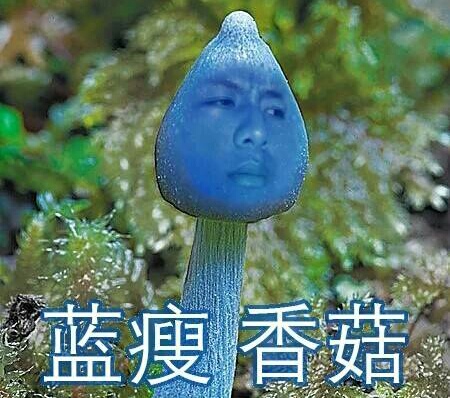 如松 : 逝去的繁华?