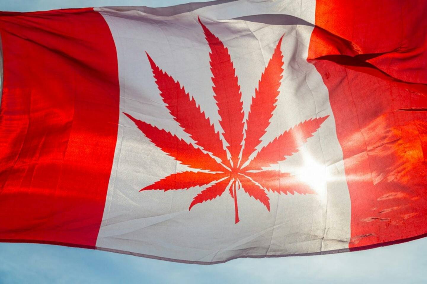 加拿大医用大麻生命科学EFT产品：Horizons Medical Marijuana Life Sciences ETF-图片1