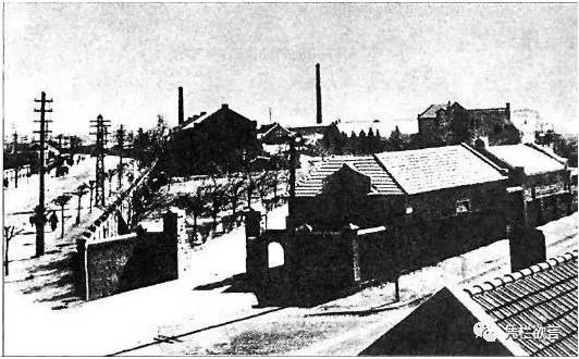 凭栏:跨越三代的饥饿回忆-图片4