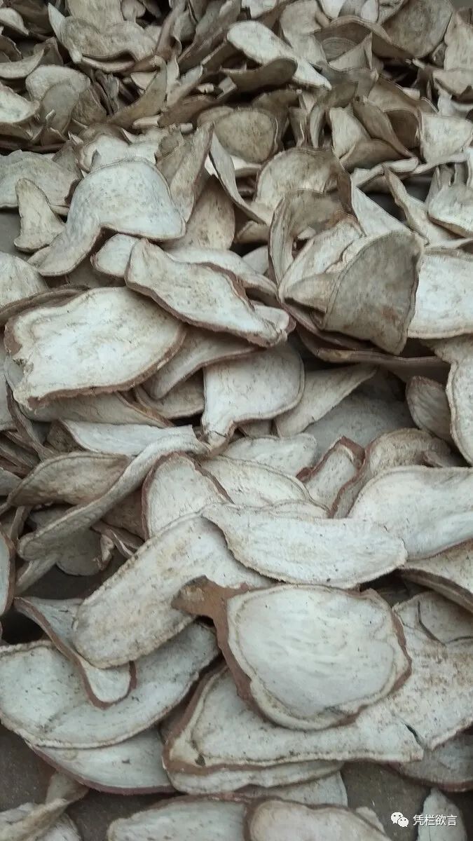 凭栏:跨越三代的饥饿回忆-图片8