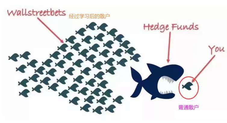 散户围猎机构，为什么可以？有什么影响？-图片3