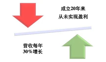 美投君:Palantir(PLTR)到底是一家怎样的公司?华尔街为何对其两极分化-图片1