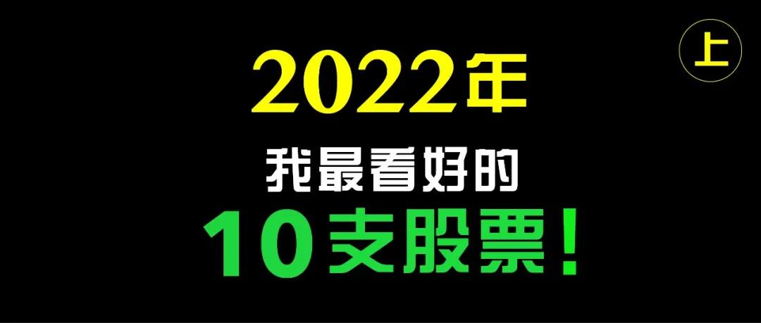 美投君:2022年我最看好的10支美股(上)