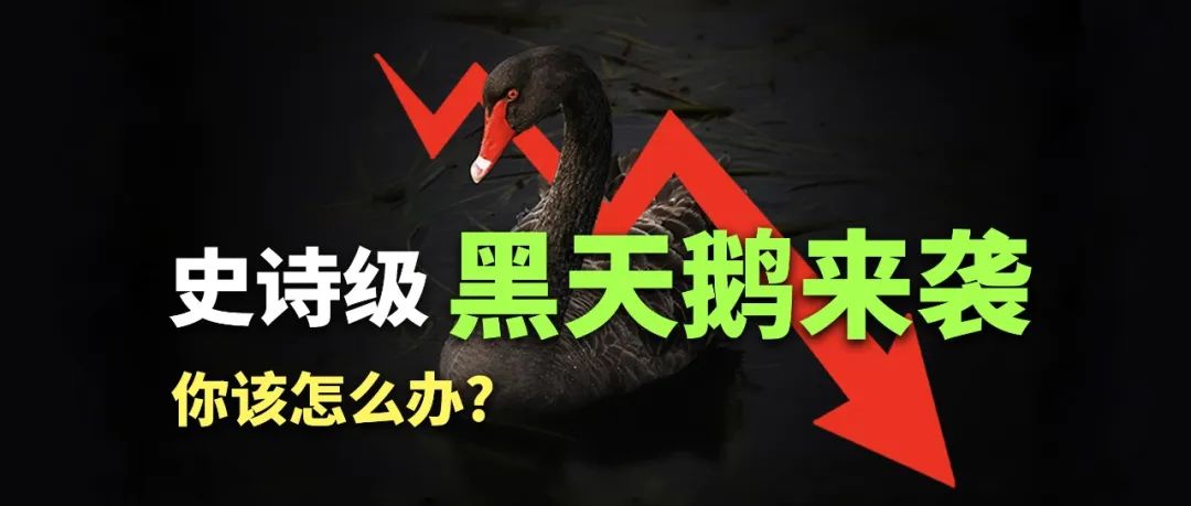 美投君:史诗级黑天鹅来袭!你该怎么办?-图片1