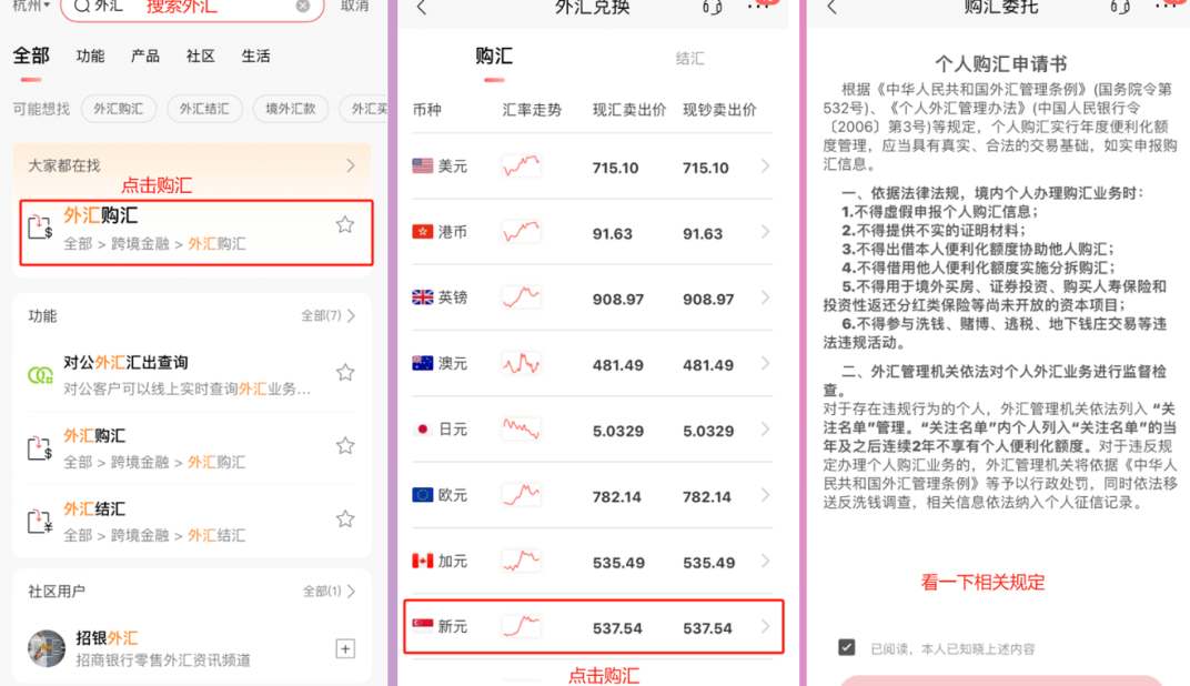 新加坡华侨银行(OCBC)在线申请、开户、入金激活及使用指南-图片28