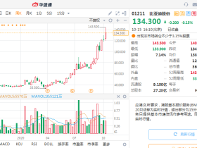 巴菲特暴赚16倍!这家中国新能源车巨头还能涨多少?
