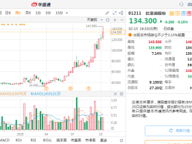 巴菲特暴赚16倍！这家中国新能源车巨头还能涨多少？