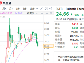 暴涨超360%!这家找出本拉登的大数据公司有何魔力?