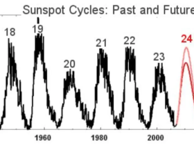 如松:2021年,飞出来的黑天鹅