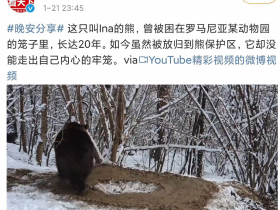 如松:奴隶建造不出金字塔(二)