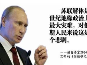 如松:大号黑天鹅在飞