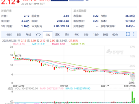 如松:一座冰山,几只黑天鹅