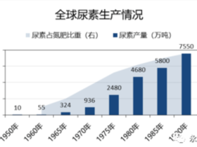 如松:紧急!粮食战火已经点燃,黑骑士在路上!