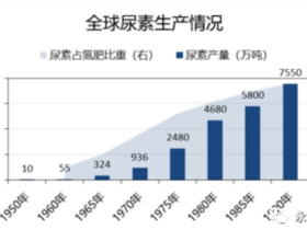 如松：紧急！粮食战火已经点燃，黑骑士在路上！