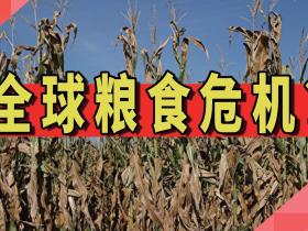 如松:大危机,盛世饥荒