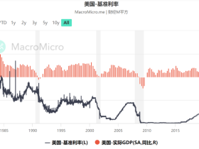 如松:这只黑天鹅正在起飞