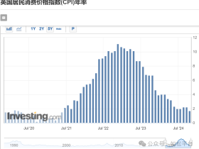 如松:这就是那只大大的黑天鹅