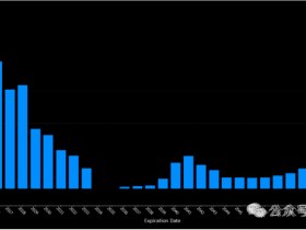 如松:马斯克,跨上“黄金黑天鹅”!