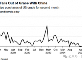 如松:孵化“黑天鹅”
