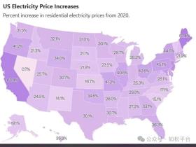 如松:白天鹅,翩翩起舞