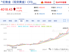 如松:金天鹅,白天鹅,展翅飞翔
