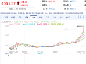 如松:淡然与安静,光芒闪耀在内心