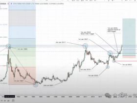 如松:白天鹅,凌空腾飞