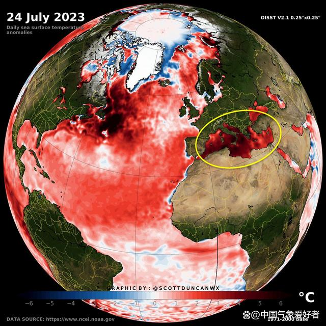 如松：狂风，暴雨，2023年的第一场飞雪-图片4