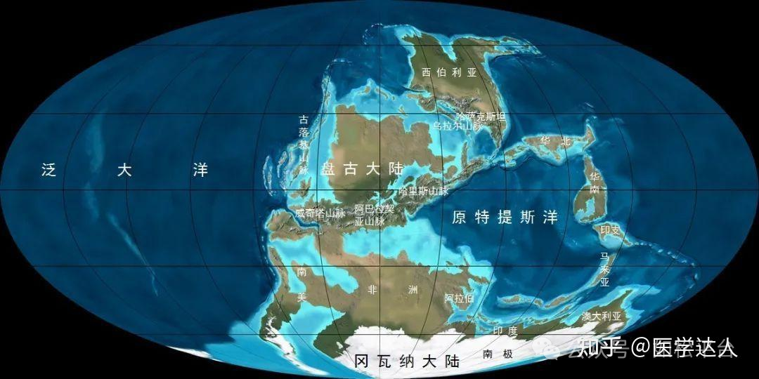 如松：中国人的福分，中国是一块神奇之地-图片2